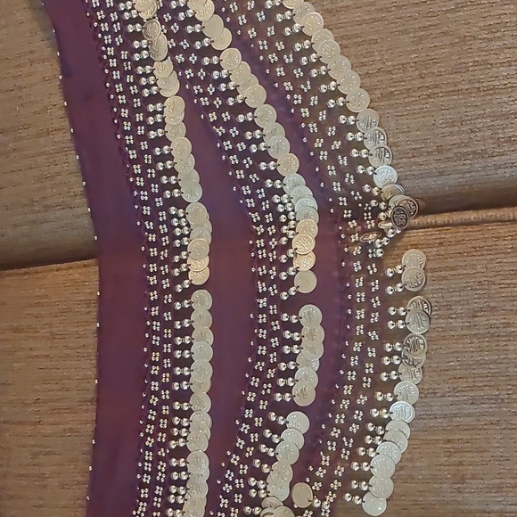 Belly Dance Purple Chiffon Hip Scarf Coin Belt - Picture 6 of 14